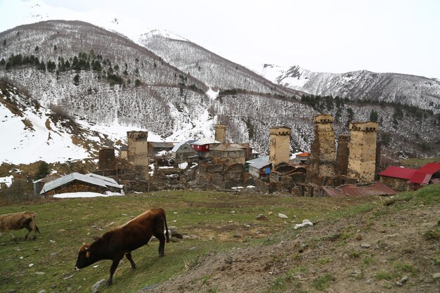 Gruzja co zjeść będąc w tym niezwykłym kraju?